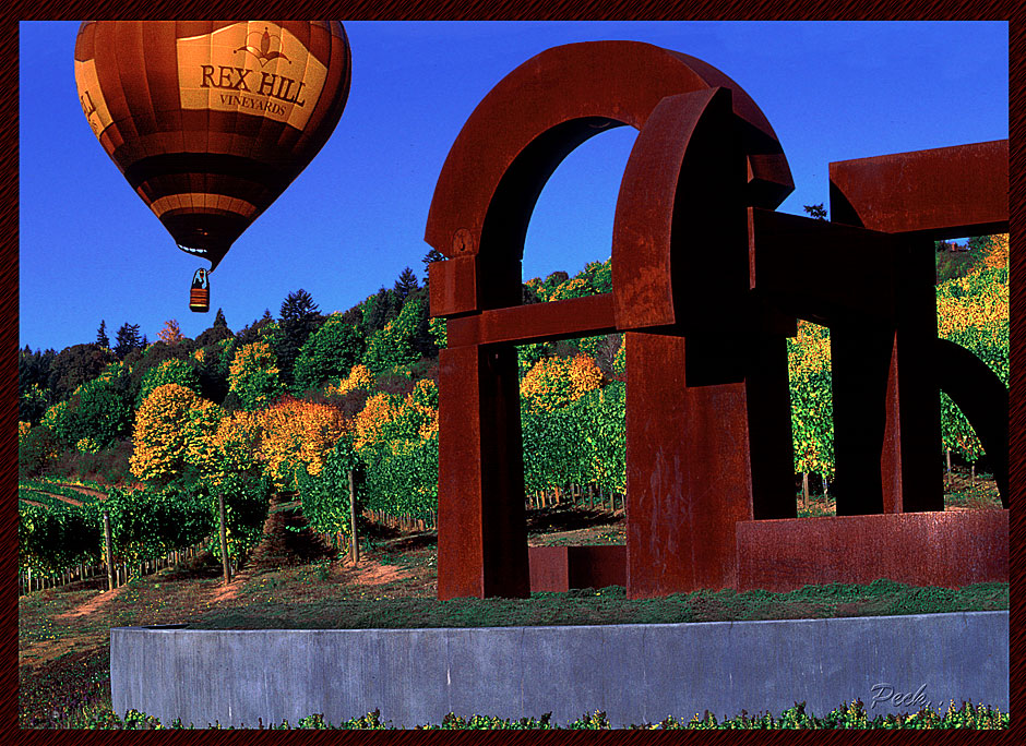 Buy this Rex Hill Winery balloon, grape, vineyard, Sculpture picture