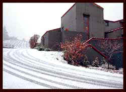 Rex Hill winery, Willamette Valley Vineyard, snow, winter, Oregon