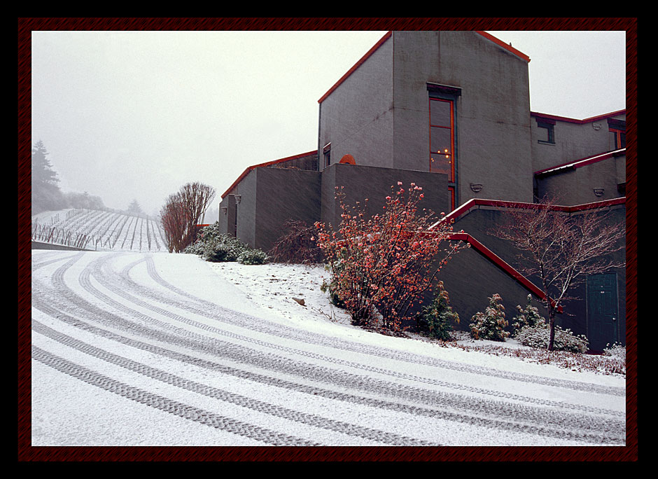 Buy this Rex Hill winery, snow, winter, Oregon picture