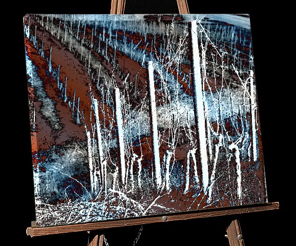 Winter Snow scene Painting; Snow on stakes and Winter Grapes,canvas print, Willamette Valley Vineyard