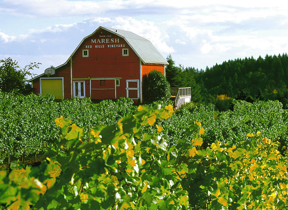 Buy this NE Worden Hill Rd, Dundee, OR Red Barn vineyard picture