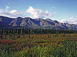 Denali National Park shows mountains effected by glacial scouring