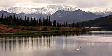Wonder Lake in Denali National Park; Tundra foreground; Alaska Range