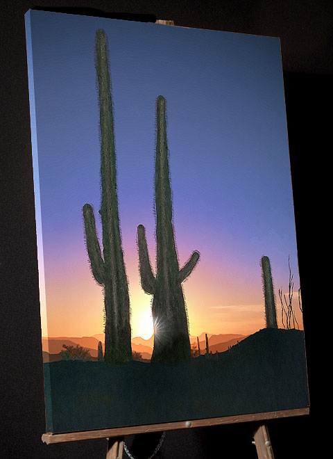 Painting of Saguaro Cactus Sunset; Santa Rosa Mountains from Tucson Arizona 