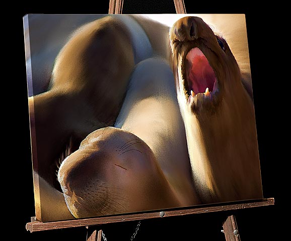 California Central Coast Painting; Elephant Seal Rookery sold as framed photo or gallery wrap canvas