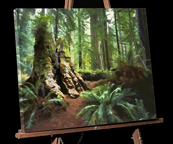 California North Coast Painting; Prairie Creek Redwood Park, very old stump