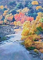 Autumn on an upper branch of the Kaweah River in California
