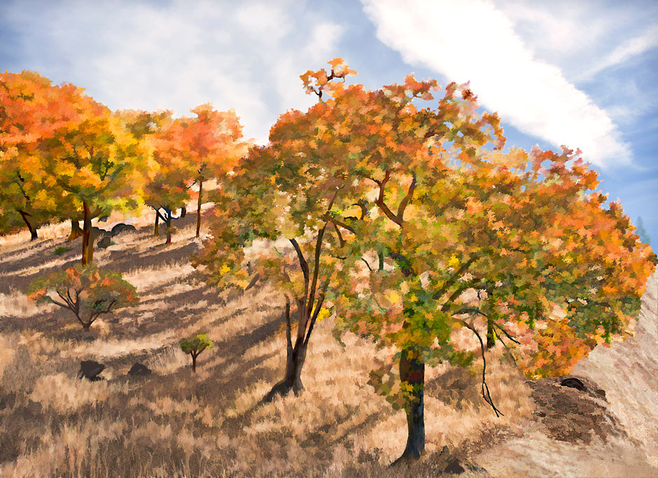 Colorful Autumn Hillside of Oaks in Laytonville, California