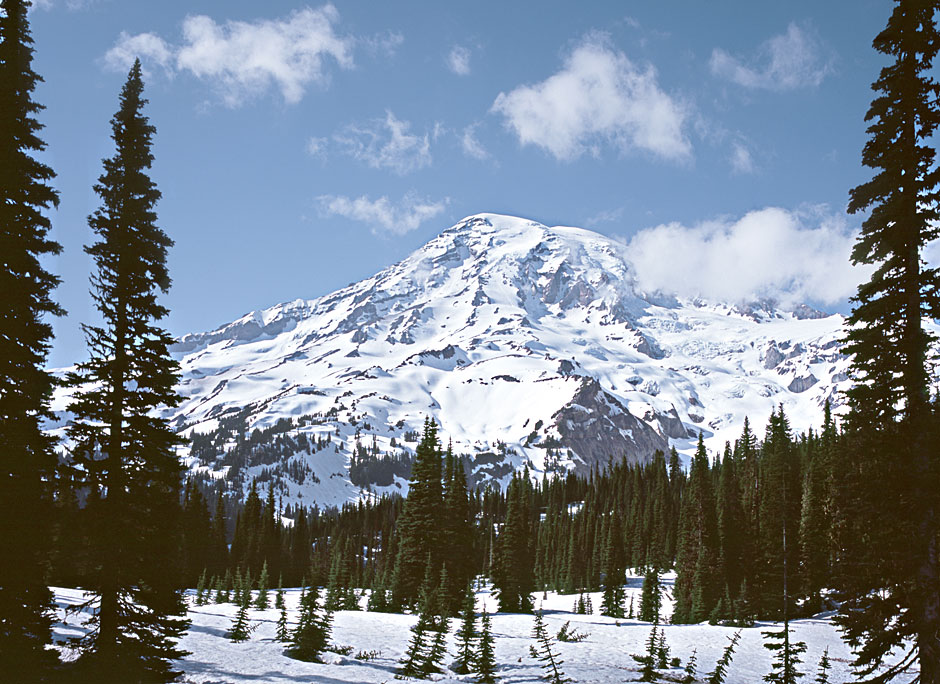 Buy this Mt Rainier in Mt Rainier National Park - Washington Cascades picture