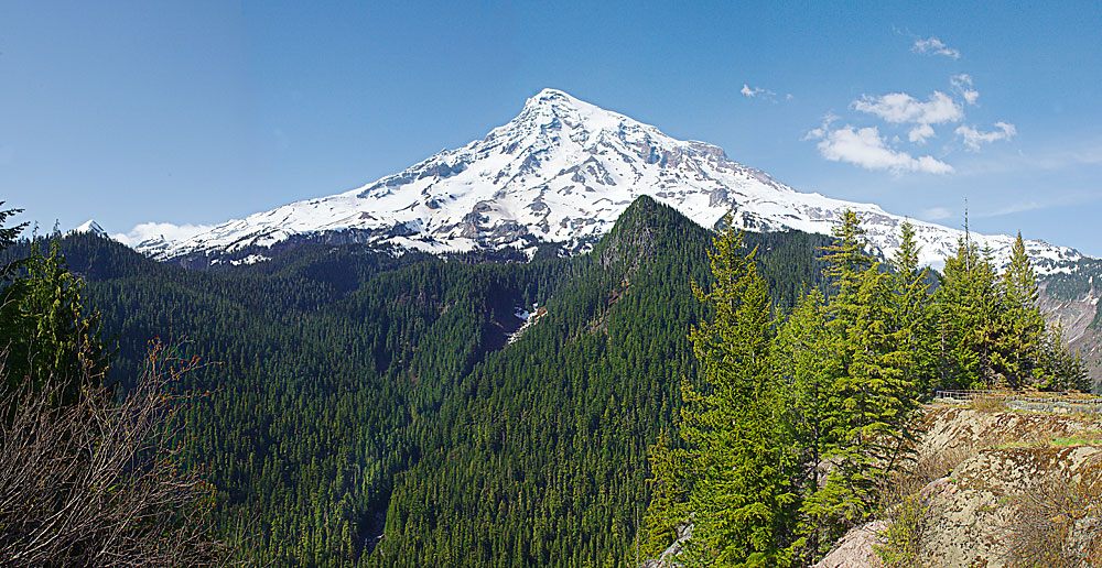 Buy this Mt Rainier and the Rainier National Forest - Washington Cascades picture