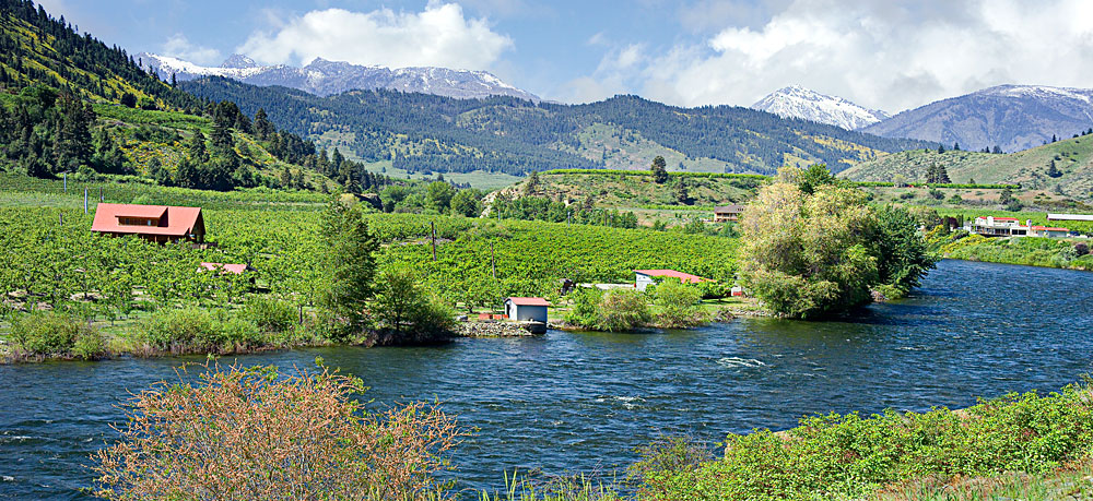 Buy this Orchards on the Wenatchee River; Central Cascades in the background picture