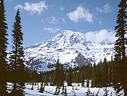 Mt Rainier in Mt Rainier National Park - Washington Cascades
