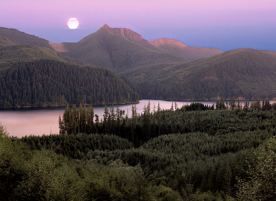 Buy this Gifford Pinchot NF: Swift Reservoir in a Moonlit Sunset-Lewis River picture
