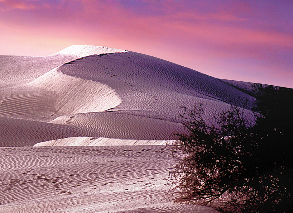 Buy this Death Valley Dunes at Sunset; Death Valley National Park picture