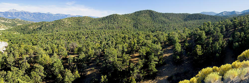 panorama of Humboldt Toiyabe National Forest in Nevada - Great Basin National Park sold as framed photo or canvas