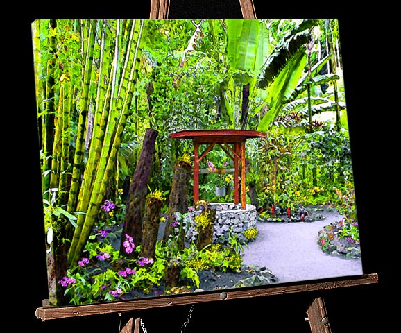 Hawaii Big Isle Painting; Orchids at Tropical Botannical Garden in Hilo,canvas print