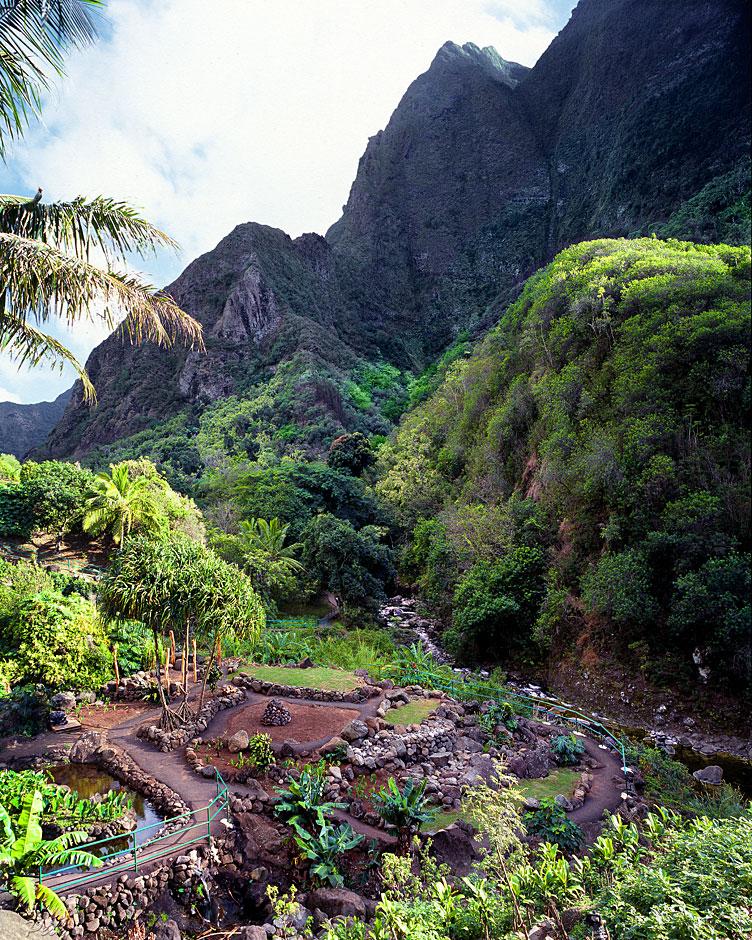 Buy this Iao Needle Park in Maui, Hawaii picture