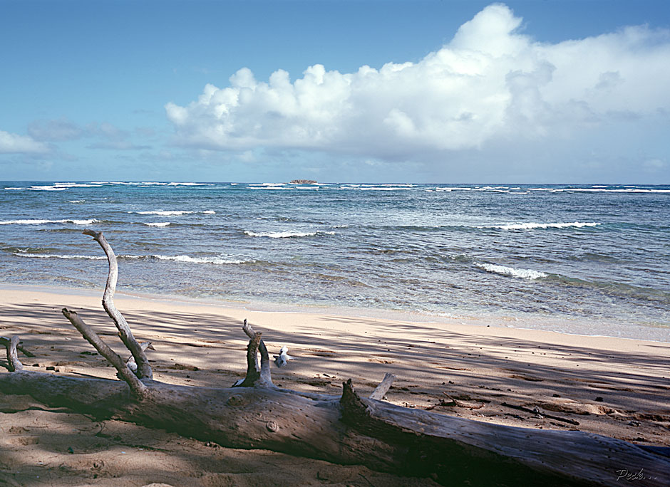 Buy this Malaekahana sea shore in Oahu, Hawaii picture