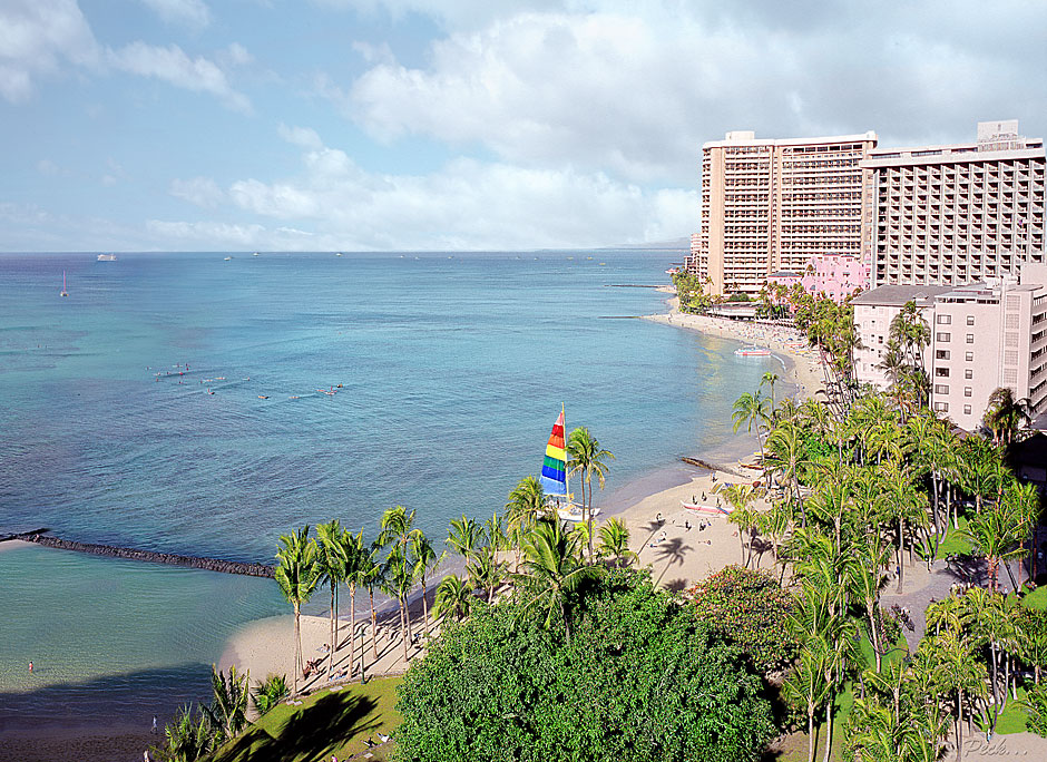 Buy this Oahu Resort, Hawaii - palm trees picture