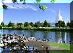 Geese on the Snake River; Mormon Temple