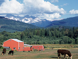 North of Sedro Wooley close to Wickersham; Twin Sisters in Washington's North Cascades