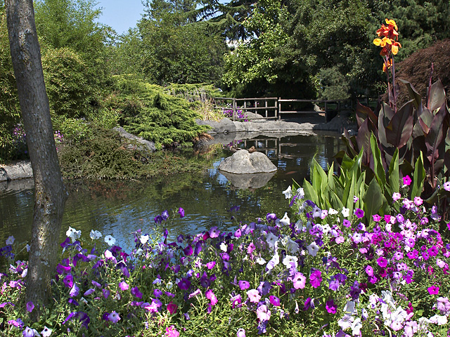 Japanese treatment of Kaibara city park in Kent, Washington