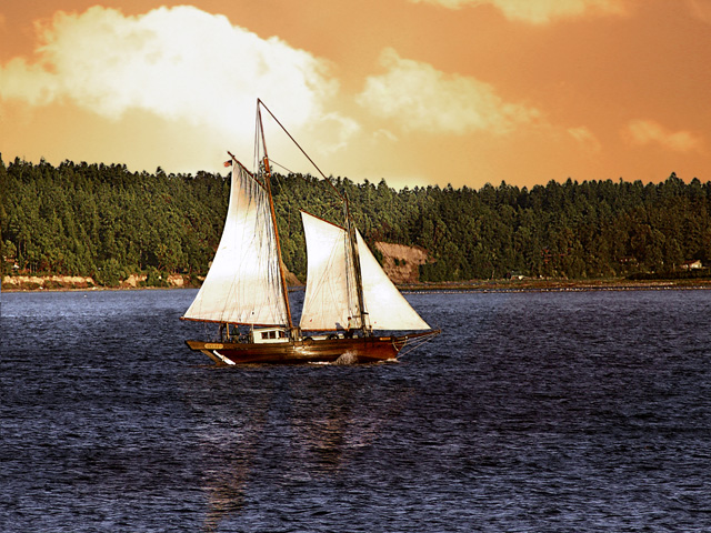 Puget Sound photographs - Sailboat on Puget Sound