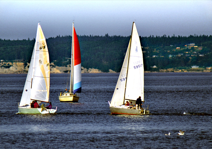 Three colorful Sailboats on Puget Sound