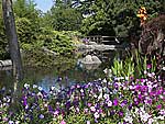 Japanese treatment of Kaibara city park in Kent, Washington