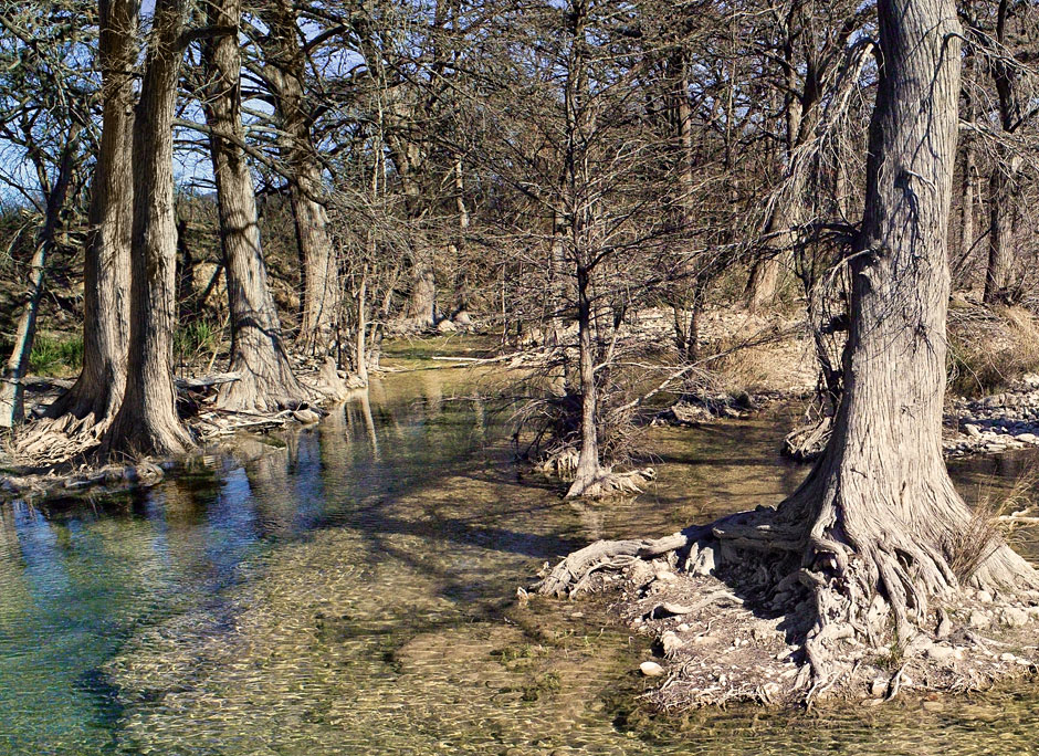 Buy this Sabinal River with Bald Cypress Trees - Utopia Texas photograph