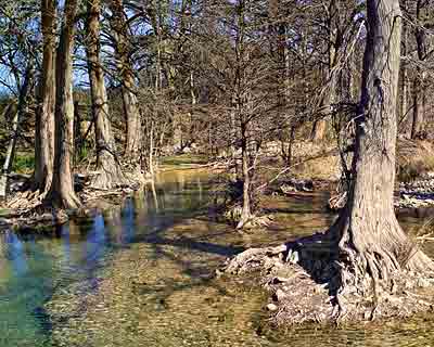Sabinal River with Bald Cypress Trees - Utopia Texas