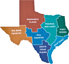 small Texas Map