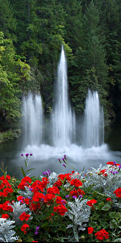 Vertical Panorama of Water Fountain with red flowers foreground