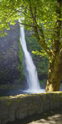 Horsetail Falls in Columbia Gorge, Oregon