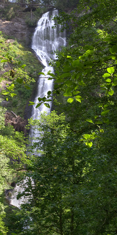Munson Creek Falls, Tillamook Oregon, Vertical Panorama