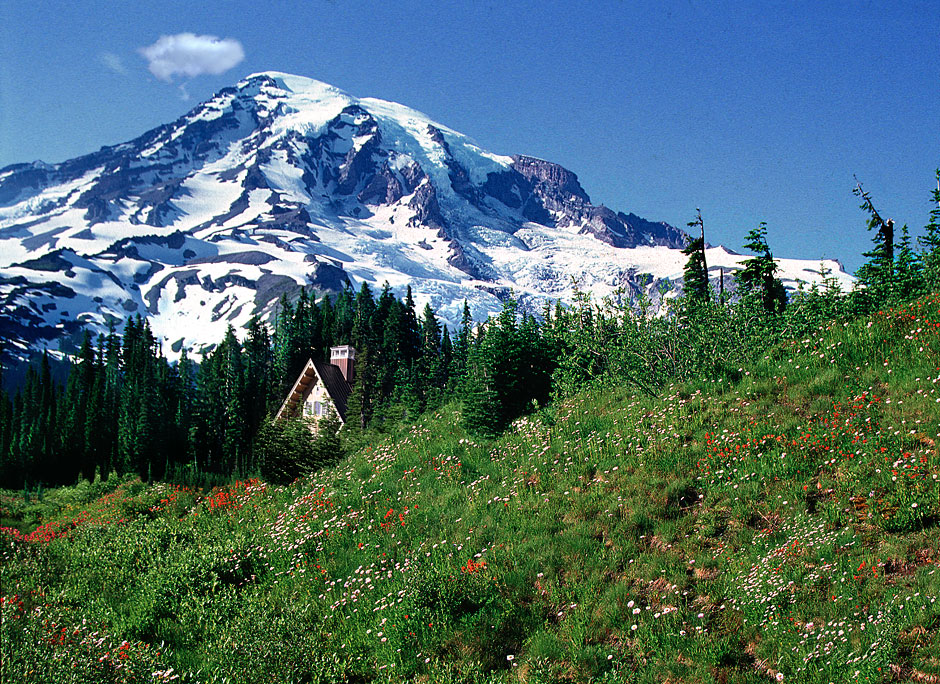 Buy this Mt Rainier and wildflowers at Paradise photograph