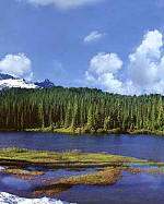 Mount Rainier triptych or panorama