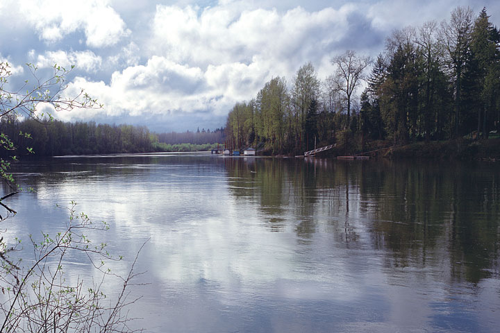 Oregon river pictures; Willamette River and puffy clouds photo sold as framed art or canvas