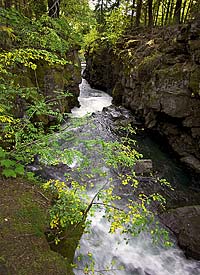Rogue River Gorge - made from collapsed lava tubes